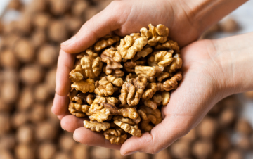 West Coast Nut Processing Supply Company