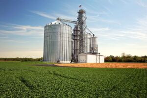 hazelnut and grain storage